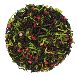 Machine à remonter le temps